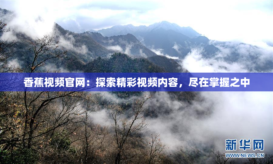 香蕉视频官网：探索精彩视频内容，尽在掌握之中