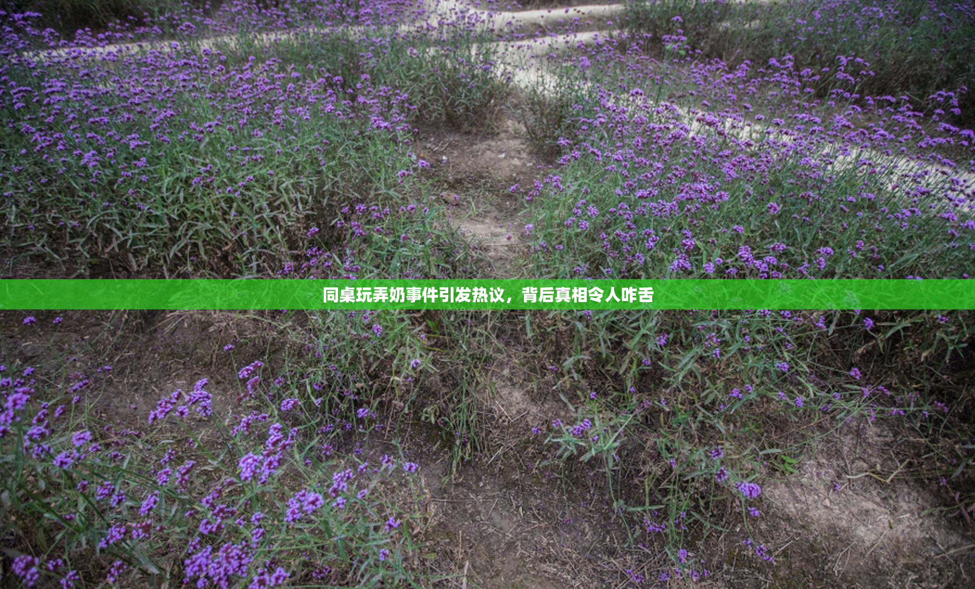 同桌玩弄奶事件引发热议，背后真相令人咋舌
