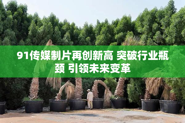 91传媒制片再创新高 突破行业瓶颈 引领未来变革