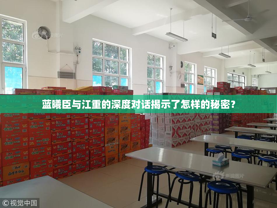 蓝曦臣与江重的深度对话揭示了怎样的秘密？