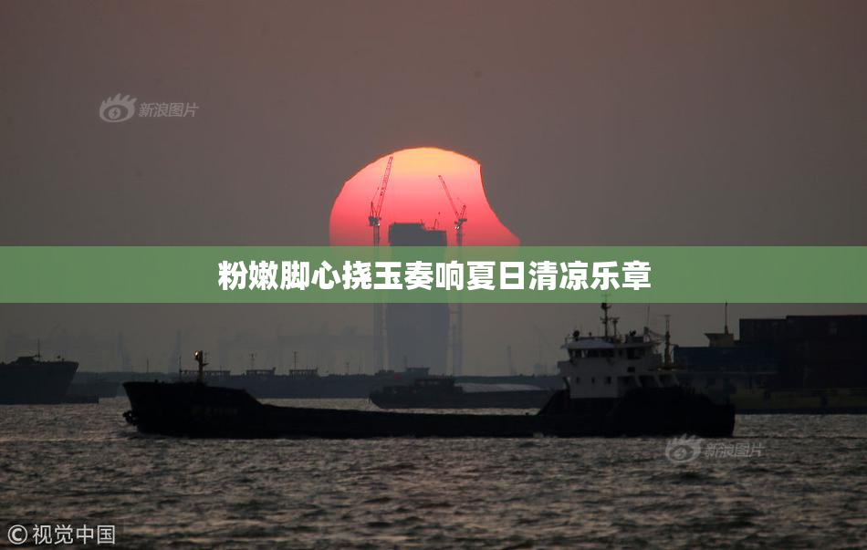 粉嫩脚心挠玉奏响夏日清凉乐章
