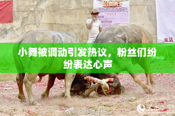 小舞被调动引发热议，粉丝们纷纷表达心声