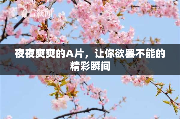 夜夜爽爽的A片，让你欲罢不能的精彩瞬间