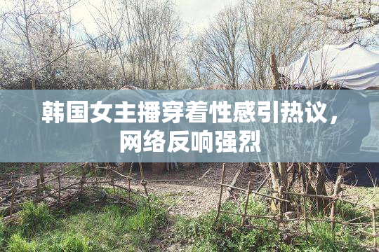 韩国女主播穿着性感引热议，网络反响强烈
