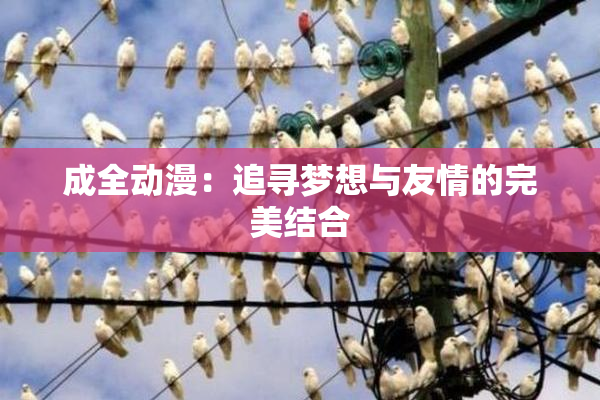成全动漫：追寻梦想与友情的完美结合