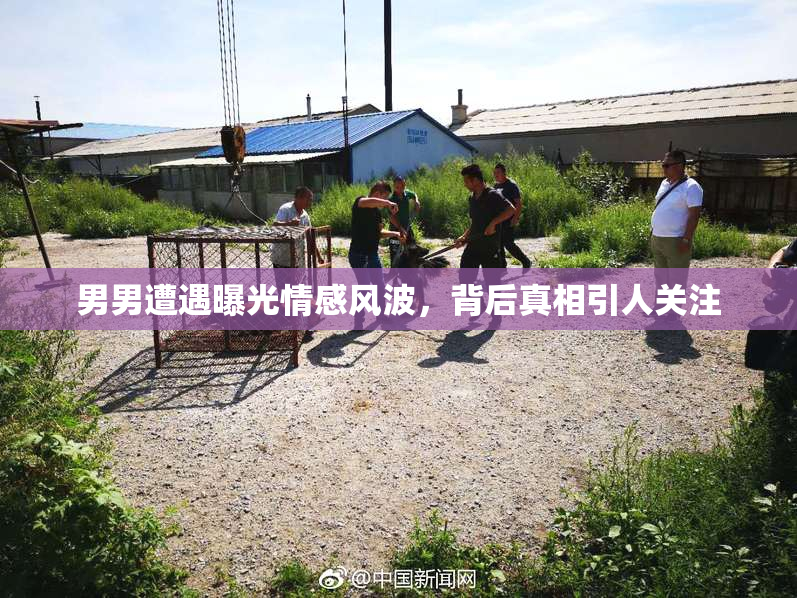 男男遭遇曝光情感风波，背后真相引人关注