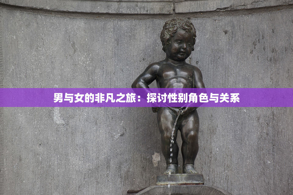 男与女的非凡之旅：探讨性别角色与关系