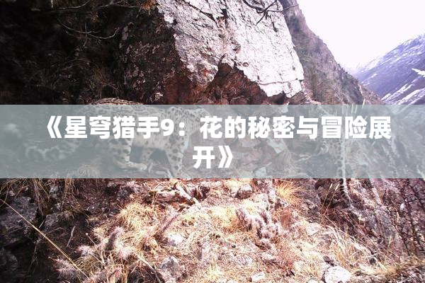 《星穹猎手9：花的秘密与冒险展开》