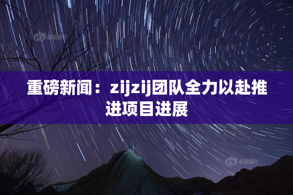 重磅新闻：zijzij团队全力以赴推进项目进展