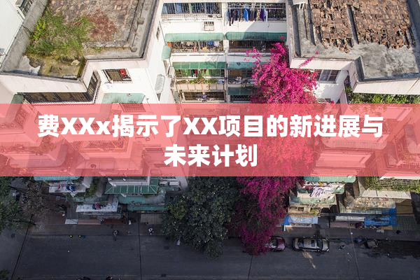 费XXx揭示了XX项目的新进展与未来计划