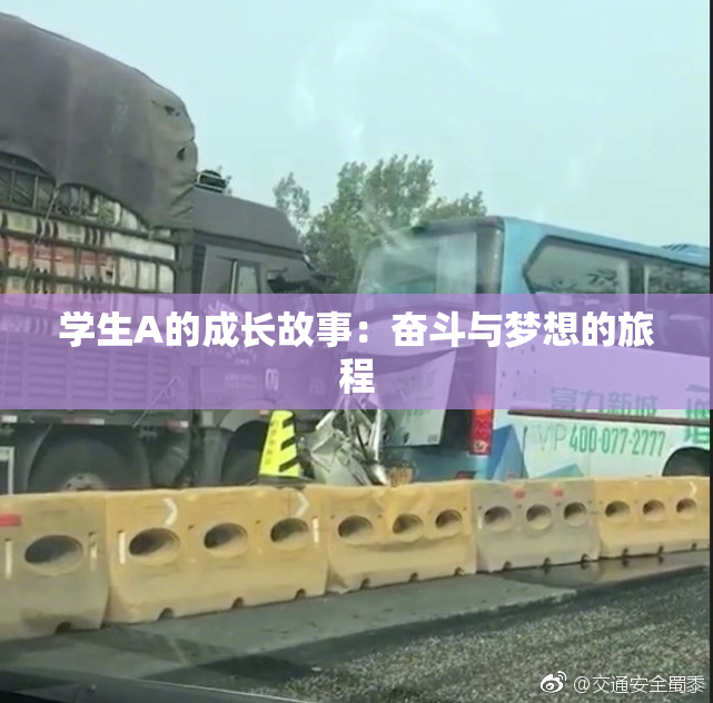 学生A的成长故事：奋斗与梦想的旅程