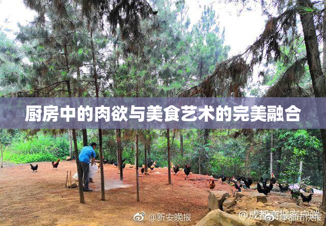 厨房中的肉欲与美食艺术的完美融合