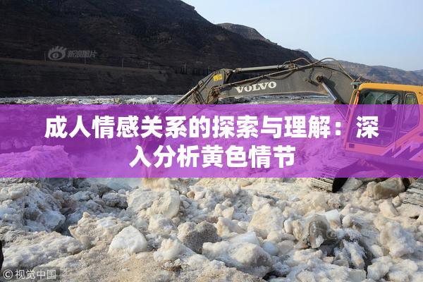 成人情感关系的探索与理解：深入分析黄色情节