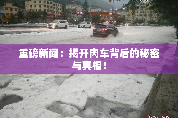 重磅新闻：揭开肉车背后的秘密与真相！