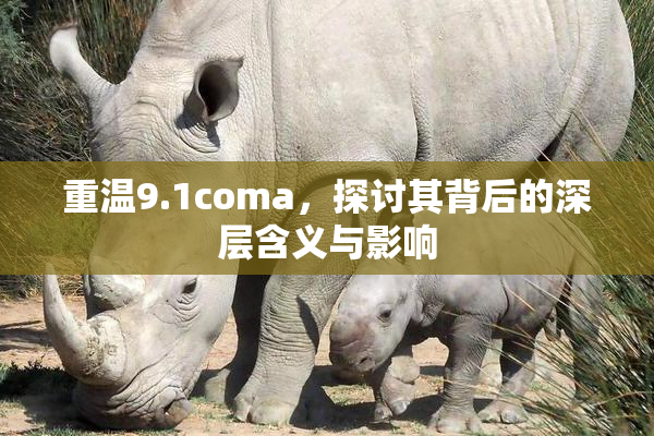 重温9.1coma，探讨其背后的深层含义与影响
