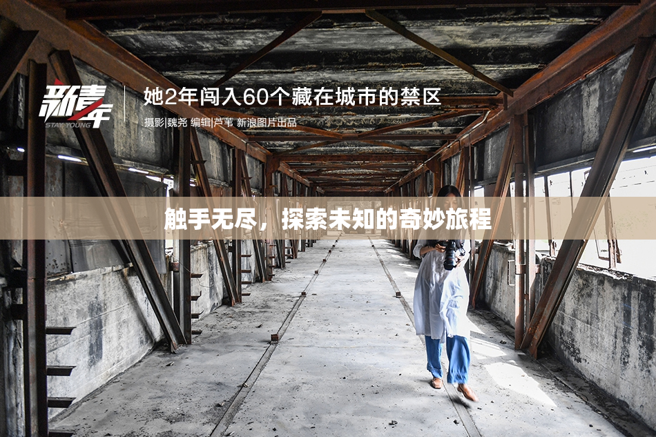 触手无尽，探索未知的奇妙旅程