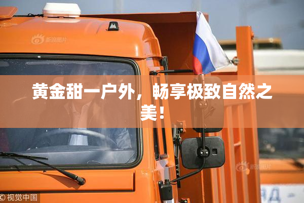 黄金甜一户外，畅享极致自然之美！