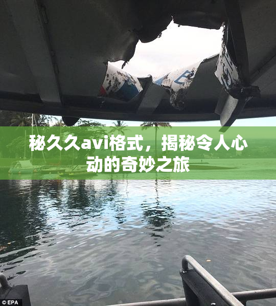 秘久久avi格式，揭秘令人心动的奇妙之旅