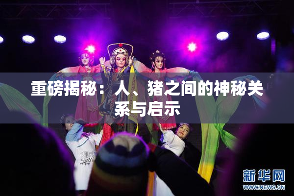 重磅揭秘：人、猪之间的神秘关系与启示
