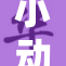小动物们齐聚公园，欢庆春日盛会乐无穷