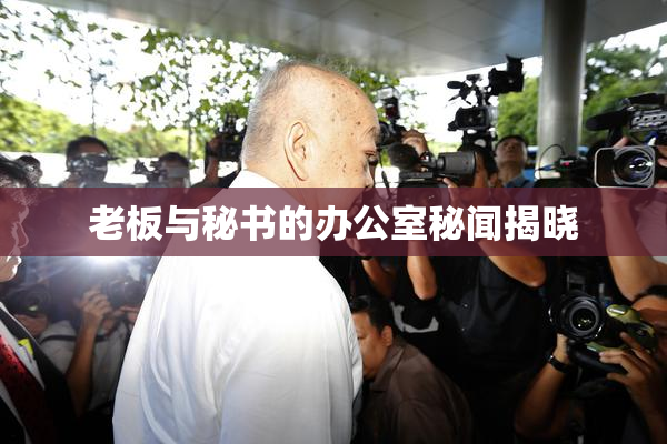 老板与秘书的办公室秘闻揭晓
