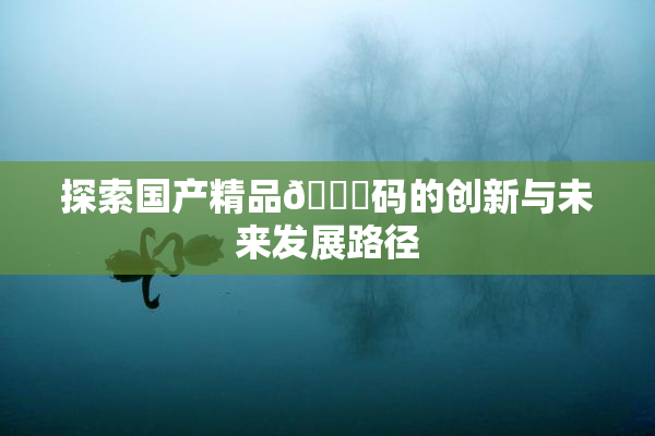 探索国产精品🈚码的创新与未来发展路径