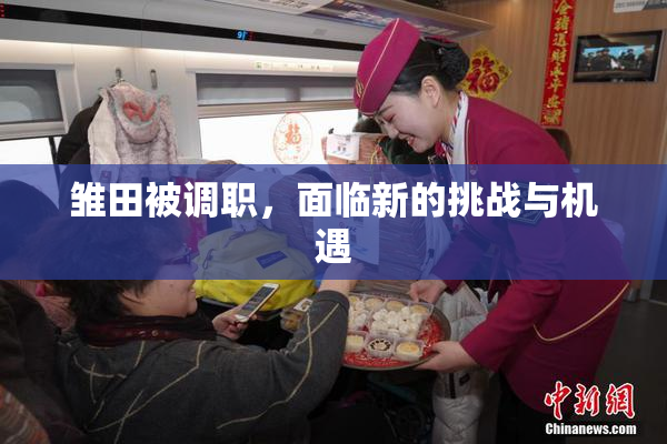 雏田被调职，面临新的挑战与机遇