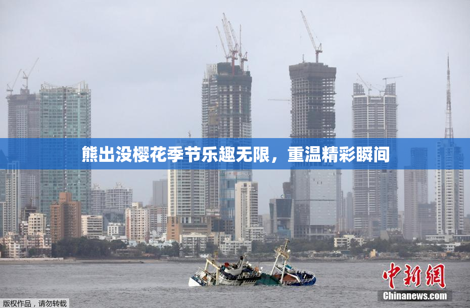 熊出没樱花季节乐趣无限，重温精彩瞬间