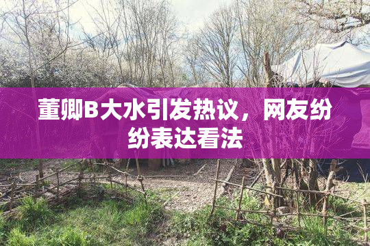 董卿B大水引发热议，网友纷纷表达看法