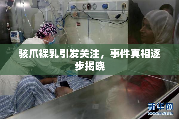 骇爪裸乳引发关注，事件真相逐步揭晓