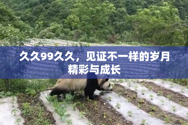 久久99久久，见证不一样的岁月精彩与成长
