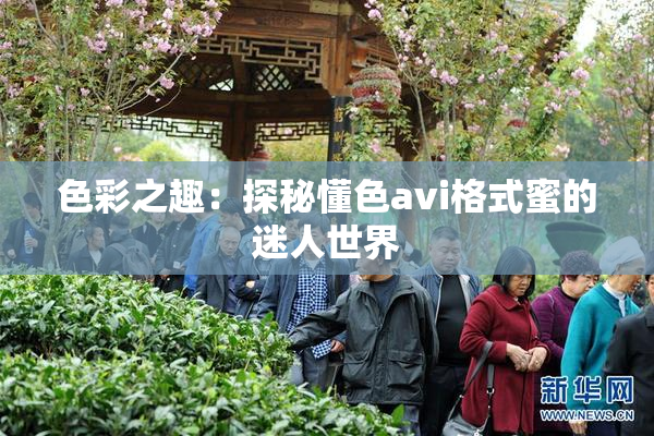 色彩之趣：探秘懂色avi格式蜜的迷人世界