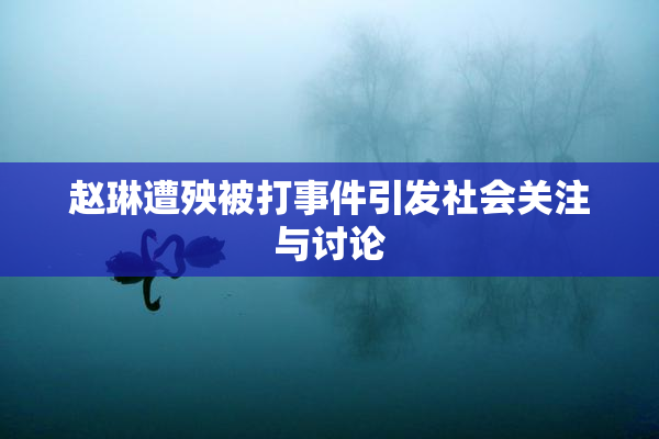 赵琳遭殃被打事件引发社会关注与讨论
