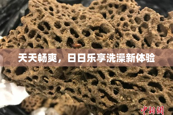 天天畅爽，日日乐享洗澡新体验