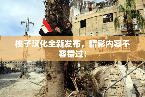 桃子汉化全新发布，精彩内容不容错过！