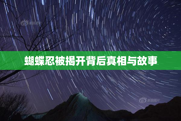 蝴蝶忍被揭开背后真相与故事