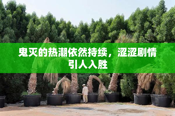 鬼灭的热潮依然持续，涩涩剧情引人入胜