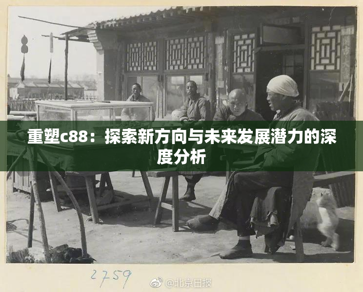 重塑c88：探索新方向与未来发展潜力的深度分析