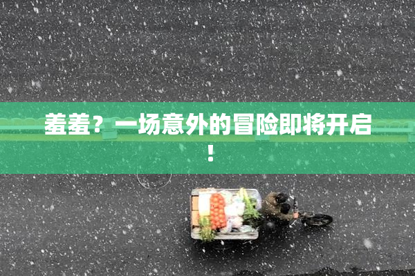 羞羞？一场意外的冒险即将开启！