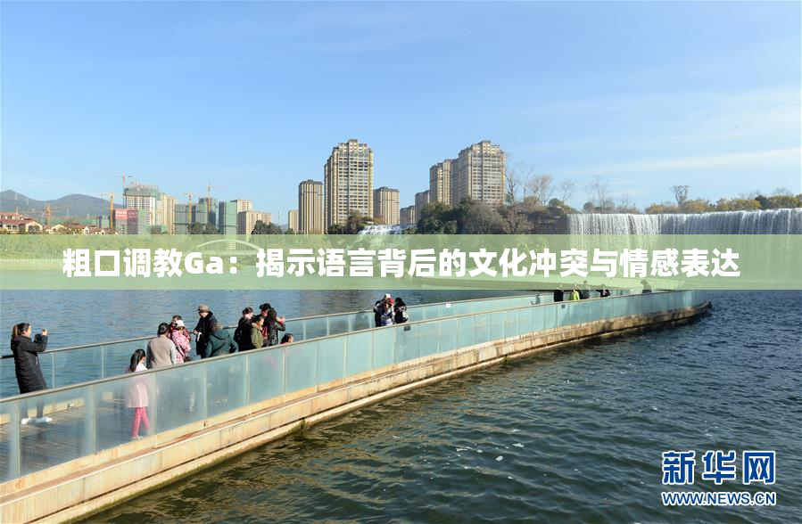 粗口调教Ga：揭示语言背后的文化冲突与情感表达