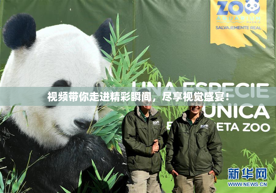视频带你走进精彩瞬间，尽享视觉盛宴！