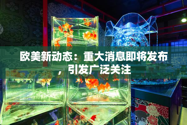欧美新动态：重大消息即将发布，引发广泛关注
