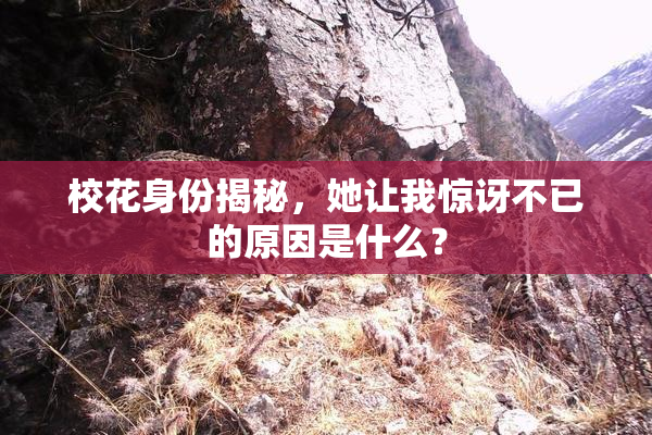 校花身份揭秘，她让我惊讶不已的原因是什么？