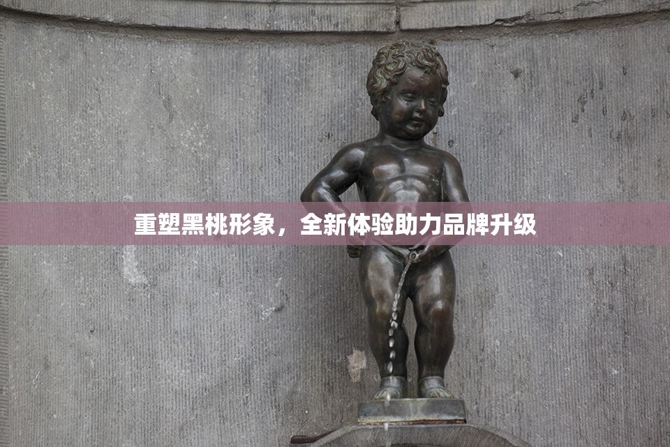 重塑黑桃形象，全新体验助力品牌升级