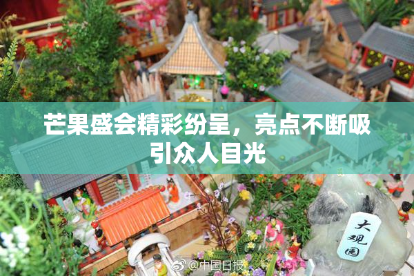 芒果盛会精彩纷呈，亮点不断吸引众人目光