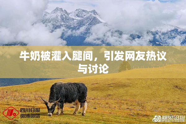 牛奶被灌入腿间，引发网友热议与讨论