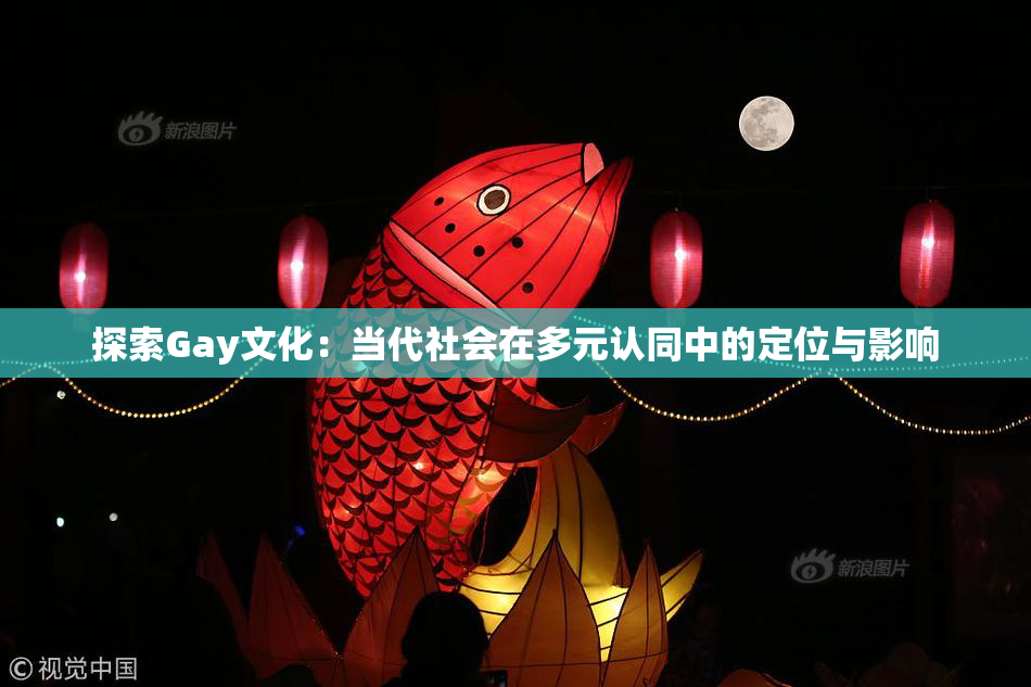 探索Gay文化：当代社会在多元认同中的定位与影响