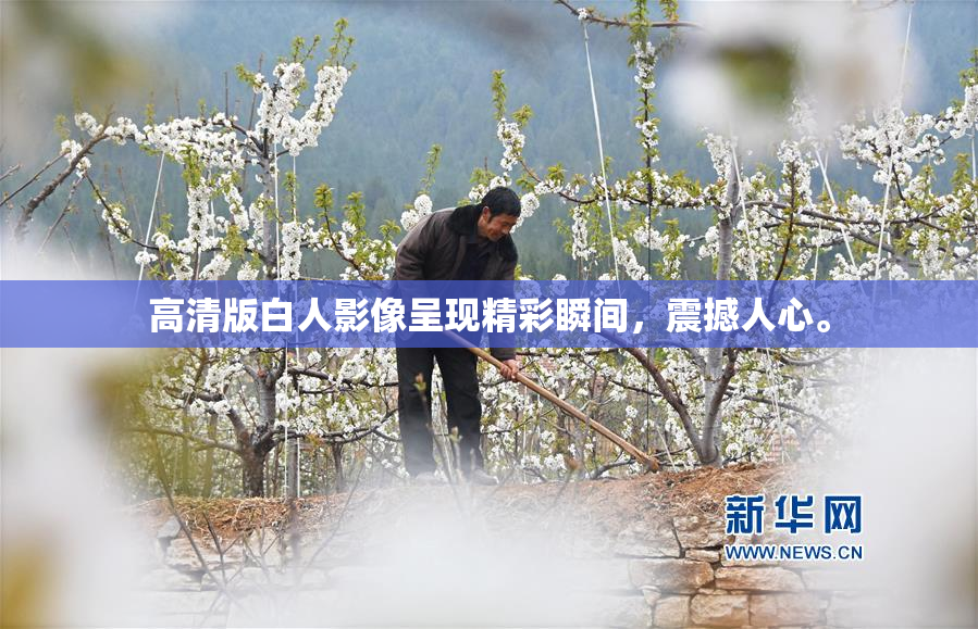 高清版白人影像呈现精彩瞬间，震撼人心。