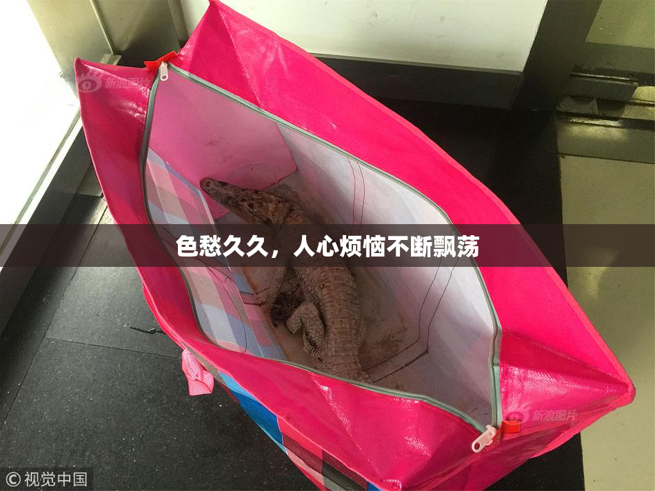 色愁久久，人心烦恼不断飘荡