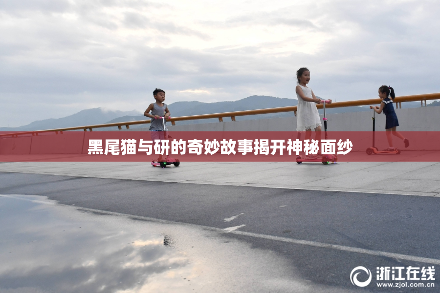 黑尾猫与研的奇妙故事揭开神秘面纱